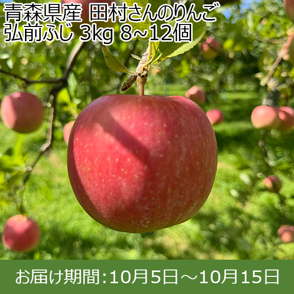 青森県産 田村さんのりんご 弘前ふじ 3kg 8~12個【限定50点】【お届け期間：10月5日〜10月15日】【お買い得セール9月】　商品画像1