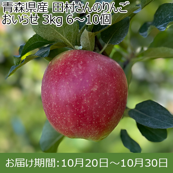 青森県産 田村さんのりんご おいらせ 3kg 6~10個【限定10点】【お届け期間：10月20日〜10月30日】【お買い得セール9月】　商品画像1