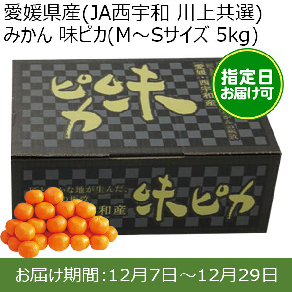 愛媛県産(JA西宇和 川上共選)みかん 味ピカ(M〜Sサイズ 5kg) 糖度12度 指定日お届け可【限定100点】【お届け期間:12月7日〜12月29日】【おいしいお取り寄せ】　商品画像1