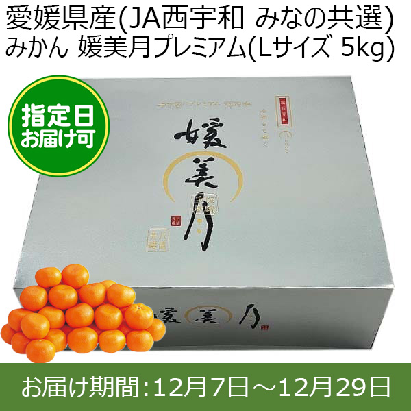 愛媛県産(JA西宇和 みなの共選)みかん 媛美月プレミアム(Lサイズ 5kg) 糖度13度 指定日お届け可【限定100点】【お届け期間:12月7日〜12月29日】【おいしいお取り寄せ】　商品画像1