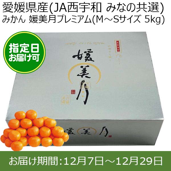 愛媛県産(JA西宇和 みなの共選)みかん 媛美月プレミアム(M〜Sサイズ 5kg) 糖度13度 指定日お届け可【限定100点】【お届け期間:12月7日〜12月29日】【おいしいお取り寄せ】　商品画像1