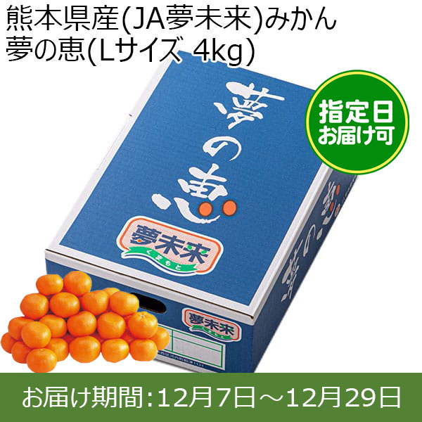 熊本県産(JA夢未来)みかん 夢の恵(Lサイズ 4kg) 糖度12度　指定日お届け可【限定100点】【お届け期間:12月7日〜12月29日】【おいしいお取り寄せ】　商品画像1