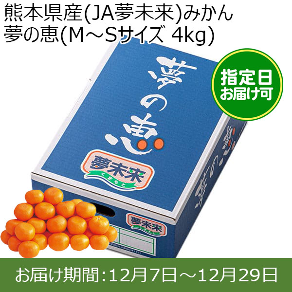 熊本県産(JA夢未来)みかん 夢の恵(M〜Sサイズ 4kg) 糖度12度 指定日お届け可【限定100点】【お届け期間:12月7日〜12月29日】【おいしいお取り寄せ】　商品画像1