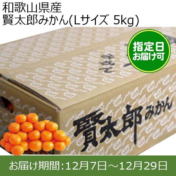 和歌山県産 賢太郎みかん(Lサイズ 5kg) 指定日お届け可【限定100点】【お届け期間:12月7日〜12月29日】【おいしいお取り寄せ】　商品画像1