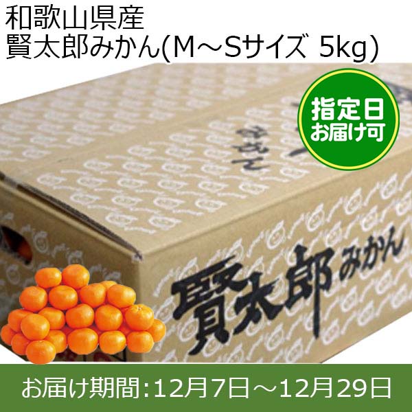 和歌山県産 賢太郎みかん(M〜Sサイズ 5kg) 指定日お届け可【限定100点】【お届け期間:12月7日〜12月29日】【おいしいお取り寄せ】　商品画像1