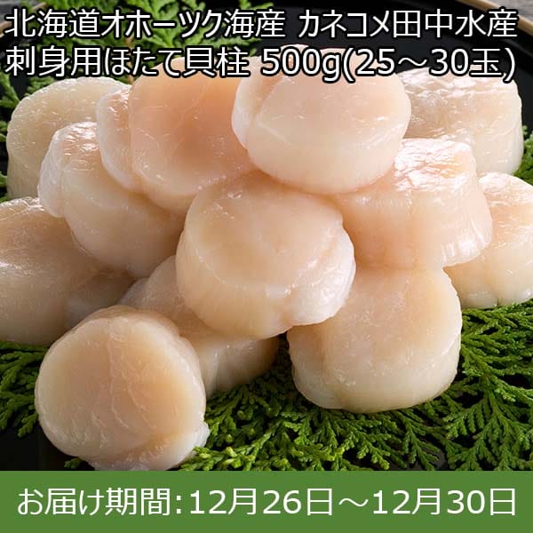 北海道オホーツク海産 カネコメ田中水産 刺身用ほたて貝柱 500g(25〜30玉)、化粧箱入【お届け期間：12月26日〜12月30日】【年末年始ごちそう特集】　商品画像1