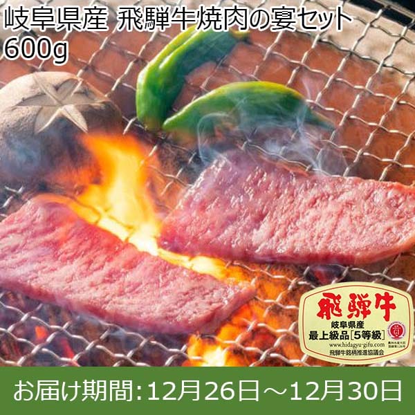 岐阜県産 飛騨牛焼肉の宴セット 600g【お届け期間：12月26日〜12月30日】【年末年始ごちそう特集】　商品画像1