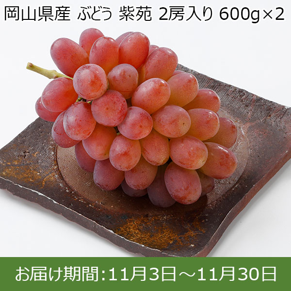 岡山県産 ぶどう 紫苑 2房入り 600g×2【限定200点】【お届け期間：11月3日〜11月30日】【イオンカード会員限定】　商品画像1