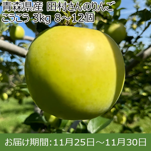 青森県産 田村さんのりんご こうこう 3kg 8〜12個【限定10点】【お届け期間：11月25日〜11月30日】【イオンカード会員限定】　商品画像1