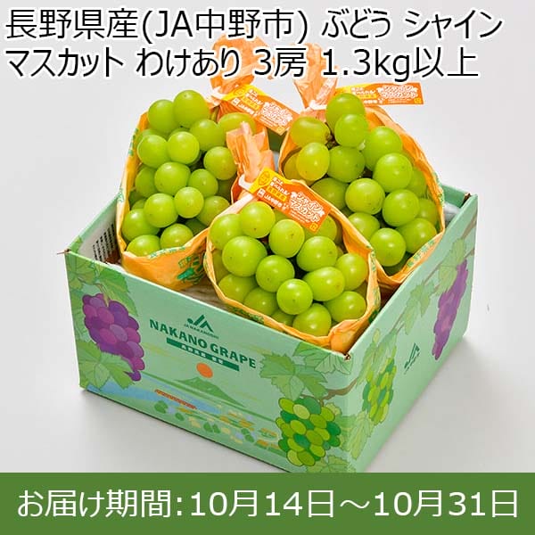 長野県産(JA中野市) ぶどう シャインマスカット わけあり 3房 1.3kg以上【限定200点】【お届け期間：10月14日〜10月31日】【BUZZTTO SALE10月】　商品画像1