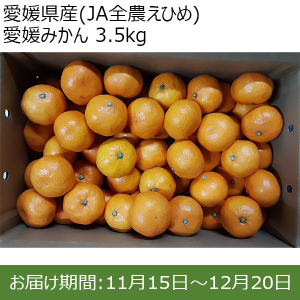 愛媛県産(JA全農えひめ) 愛媛みかん 3.5kg【限定500点】【お届け期間：11月15日〜12月20日】【BUZZTTO SALE10月】　商品画像1