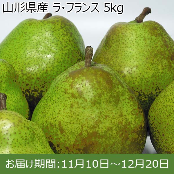 山形県産 ラ・フランス 5kg【限定100点】【お届け期間：11月10日〜12月20日】【イオンカード会員限定】　商品画像1