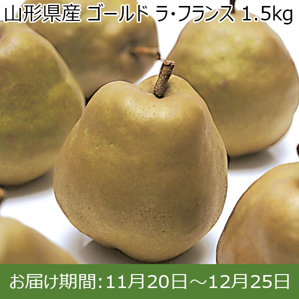 山形県産 ゴールド ラ・フランス 1.5kg【限定100点】【お届け期間：11月20日〜12月25日】【イオンカード会員限定】　商品画像1