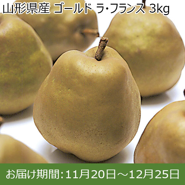 山形県産 ゴールド ラ・フランス 大玉 3kg【限定100点】【お届け期間：11月20日〜12月25日】【イオンカード会員限定】　商品画像1