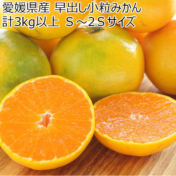 愛媛県産 早出し小粒みかん　計3kg以上 Ｓ〜2Ｓサイズ【限定500点】【お届け期間:10月8日〜10月25日】【BUZZTTO SALE10月】【ふるさとの味・中四国】　商品画像1