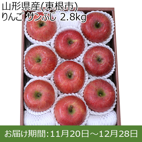 山形県産(東根市) りんご サンふじ 2.8kg【限定100点】【お届け期間：11月20日〜12月28日】【イオンカード会員限定】　商品画像1