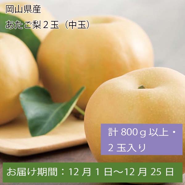 岡山県産 あたご梨2玉(中玉) 計800g以上・2玉入【お届け期間:12月1日〜12月25日】【ふるさとの味・中四国】　商品画像1