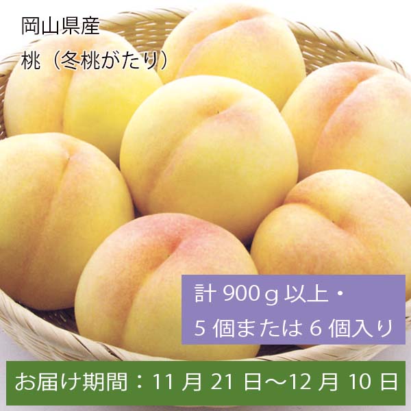 岡山県産 桃(冬桃がたり) 計900g以上・5個または6個入【お届け期間:11月21日〜12月10日】【ふるさとの味・中四国】　商品画像1