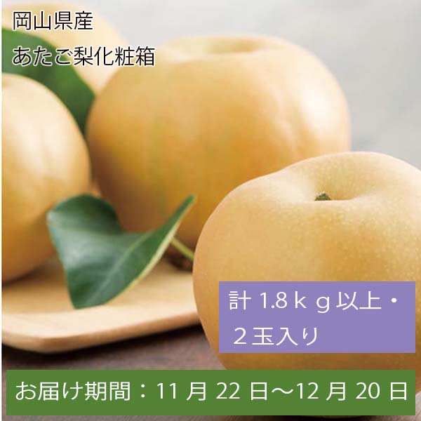 岡山県産 あたご梨化粧箱 計1.8kg以上・2玉入【お届け期間:11月22日〜12月20日】【ふるさとの味・中四国】　商品画像1