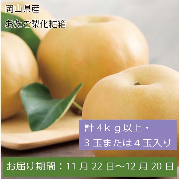 岡山県産 あたご梨化粧箱 計4kg以上・3玉または4玉入【お届け期間:11月22日〜12月20日】【ふるさとの味・中四国】　商品画像1