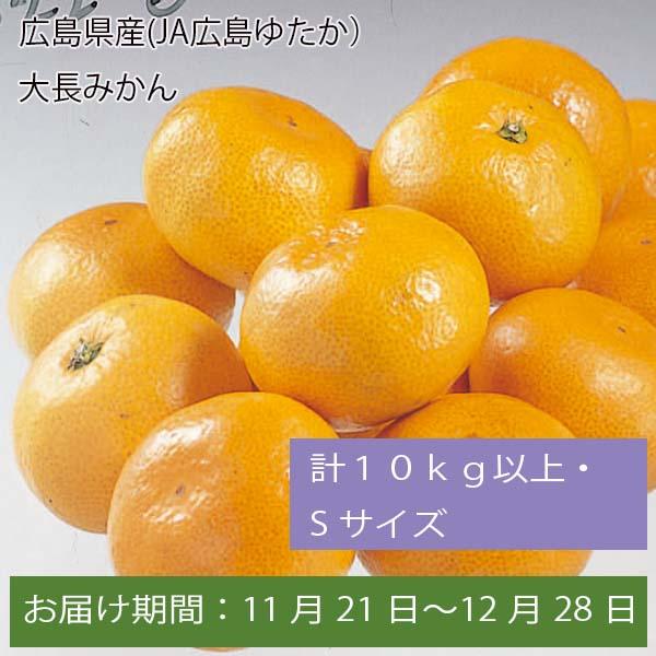 広島県産(JA広島ゆたか)大長みかん 計10kg以上・Sサイズ【お届け期間:11月21日〜12月28日】【ふるさとの味・中四国】　商品画像1