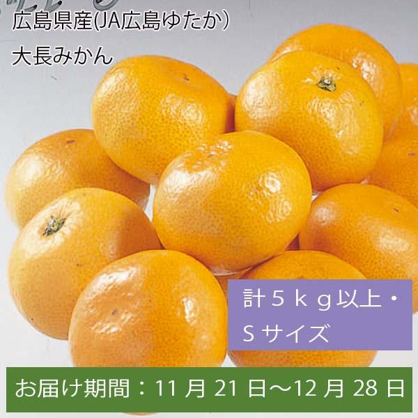 広島県産(JA広島ゆたか)大長みかん 計5kg以上・Sサイズ【お届け期間:11月21日〜12月28日】【ふるさとの味・中四国】　商品画像1