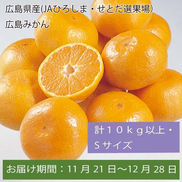 広島県産(JAひろしま・せとだ選果場)広島みかん 計10kg以上・Sサイズ【お届け期間:11月21日〜12月28日】【ふるさとの味・中四国】　商品画像1