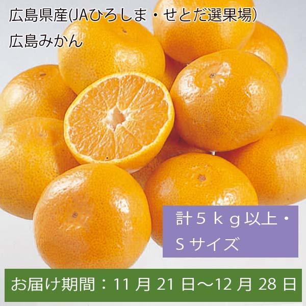 広島県産(JAひろしま・せとだ選果場)広島みかん 計5kg以上・Sサイズ【お届け期間:11月21日〜12月28日】【ふるさとの味・中四国】　商品画像1