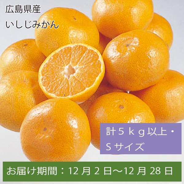 広島県産 いしじみかん 計5kg以上・Sサイズ【お届け期間:12月2日〜12月28日】【ふるさとの味・中四国】　商品画像1