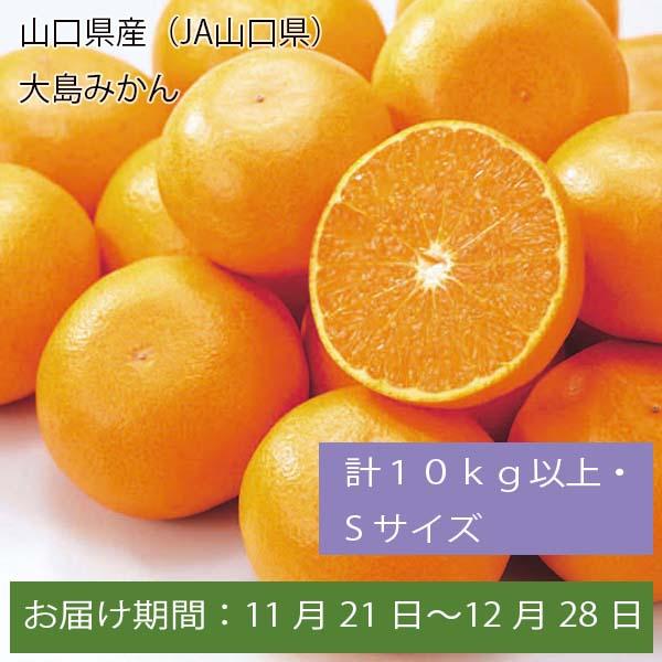 山口県産(JA山口県)大島みかん 計10kg以上・Sサイズ【お届け期間:11月21日〜12月28日】【ふるさとの味・中四国】　商品画像1