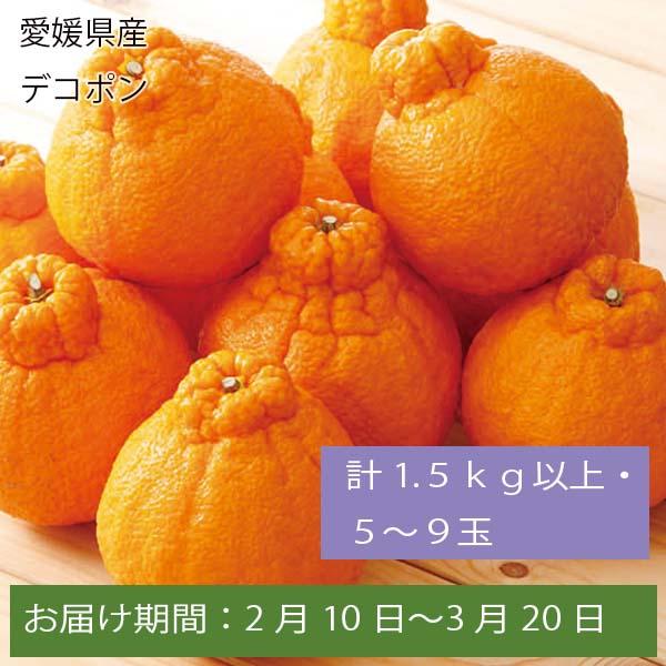 愛媛県産 デコポン 計1.5kg以上・5〜9玉【お届け期間:2月10日〜3月20日】【ふるさとの味・中四国】　商品画像1