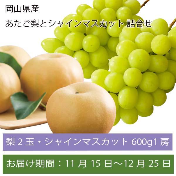 岡山県産 あたご梨2玉とシャインマスカット詰合せ 【お届け期間:11月15日〜12月25日】【ふるさとの味・中四国】　商品画像1