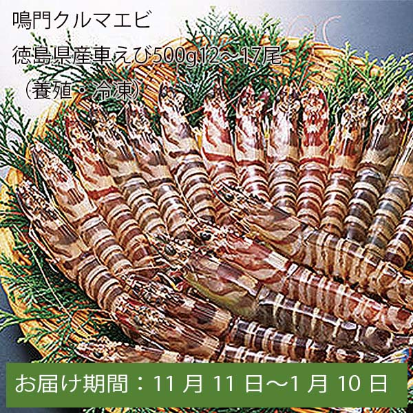 鳴門クルマエビ 徳島県産車えび500g(12〜17尾)(養殖・冷凍)【お届け期間:11月11日〜1月10日】【ふるさとの味・中四国】　商品画像1