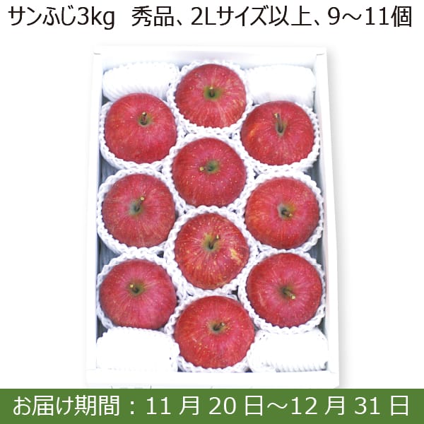 山形県産 サンふじ3kg(秀品 2Lサイズ以上 9〜11個)【お届け期間：11/20(水)〜12/31(火)】【ふるさとの味・南関東】　商品画像1