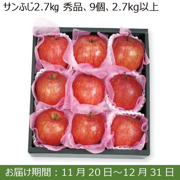 山形県産 サンふじ(秀品 9個 計2.7kg以上)【お届け期間：11/20(水)〜12/31(火)】【ふるさとの味・南関東】　商品画像1