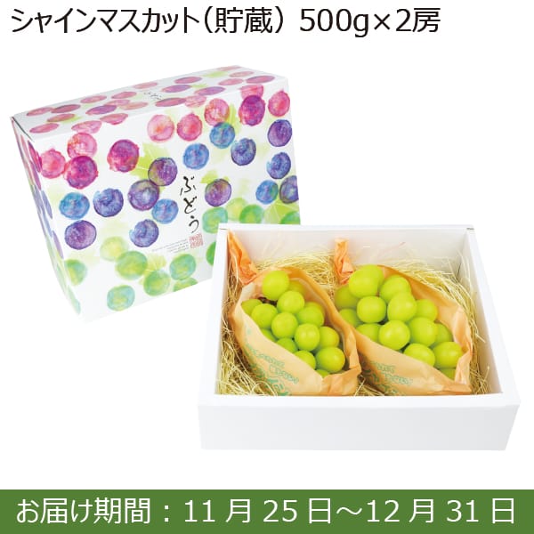 長野県産 シャインマスカット(貯蔵)(500g×2房 計1.0kg)【お届け期間：11/25(月)〜12/31(火)】【ふるさとの味・南関東】　商品画像1