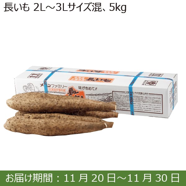 夕張市産 JA夕張市 長いも(2L〜3Lサイズ混 5kg)【お届け期間：11/20(水)〜11/30(土)】【ふるさとの味・南関東】　商品画像1