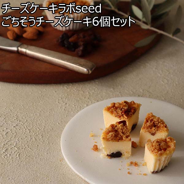 チーズケーキラボseed ごちそうチーズケーキ6個セット【おいしいお取り寄せ】　商品画像1