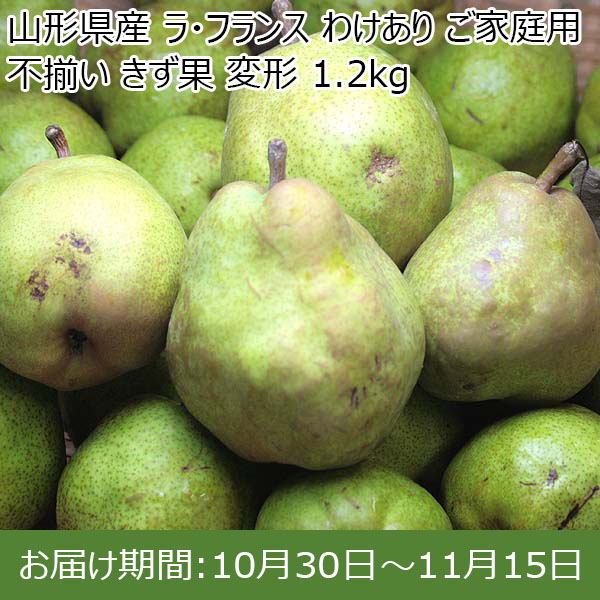 山形県産 ラ・フランス わけあり ご家庭用 不揃い きず果 変形 1.2kg 【お届け期間：10月30日〜11月15日】【お買い得セール10月】　商品画像1