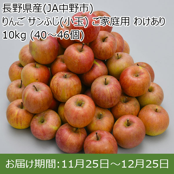 長野県産(JA中野市) りんご サンふじ(小玉) ご家庭用 わけあり 10kg (40〜46個)【限定数100】【お届け期間：11月25日〜12月25日】【お買い得セール10月】　商品画像1