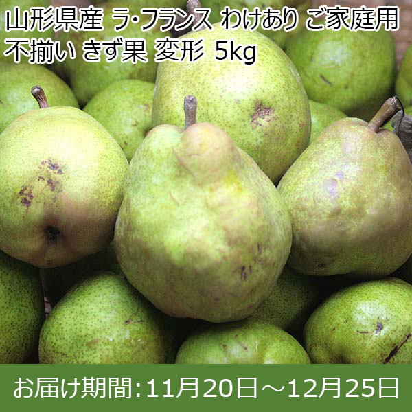 山形県産 ラ・フランス わけあり ご家庭用 不揃い きず果 変形 5kg 【お届け期間：11月20日〜12月25日】【お買い得セール10月】　商品画像1