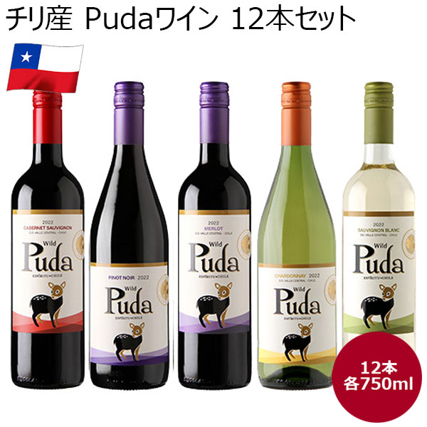 チリ産 Pudaワイン 12本セット 【お買い得セール10月】　商品画像1