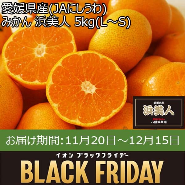 愛媛県産(JAにしうわ) みかん 浜美人 5kg(L〜S)【限定1000点】【お届け期間：11月20日〜12月15日】【ブラックフライデー】　商品画像1