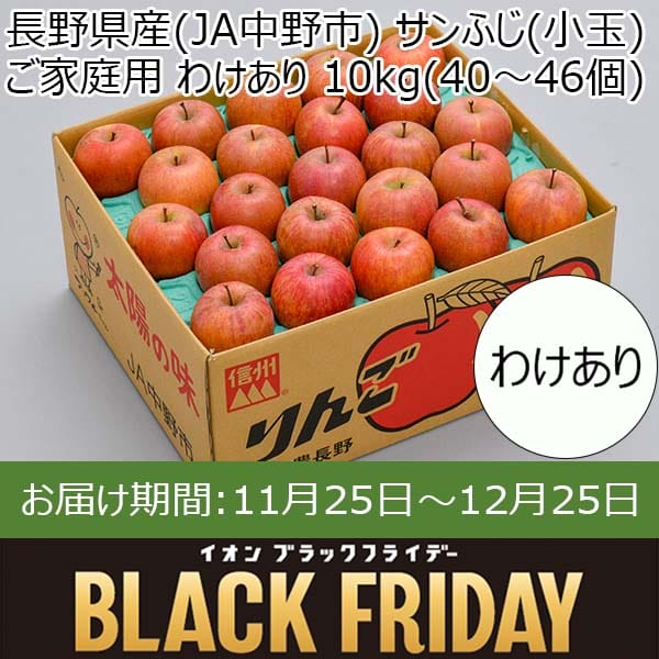 長野県産(JA中野市) りんご サンふじ(小玉) ご家庭用 わけあり 10kg (40〜46個)【限定500点】【お届け期間：11月25日〜12月25日】【ブラックフライデー】　商品画像1