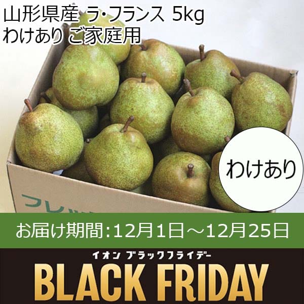 山形県産 ラ・フランス 5kg わけあり ご家庭用【限定100点】【お届け期間：12月1日〜12月25日】【ブラックフライデー】　商品画像1