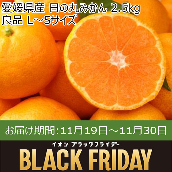 愛媛県産 日の丸みかん 2.5kg 良品 L〜Sサイズ【お届け期間:11月19日〜11月30日】【ブラックフライデー】【ふるさとの味・中四国】　商品画像1