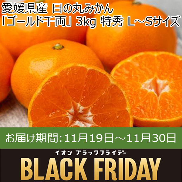 愛媛県産 日の丸みかん「ゴールド千両」 3kg 特秀 L〜Sサイズ【お届け期間:11月19日〜11月30日】【ブラックフライデー】【ふるさとの味・中四国】　商品画像1