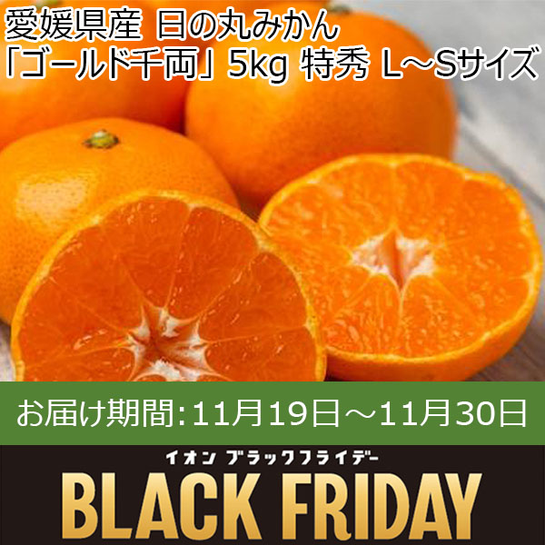 愛媛県産  日の丸みかん「ゴールド千両」 5kg 特秀 L〜Sサイズ【お届け期間:11月19日〜11月30日】【ブラックフライデー】【ふるさとの味・中四国】　商品画像1