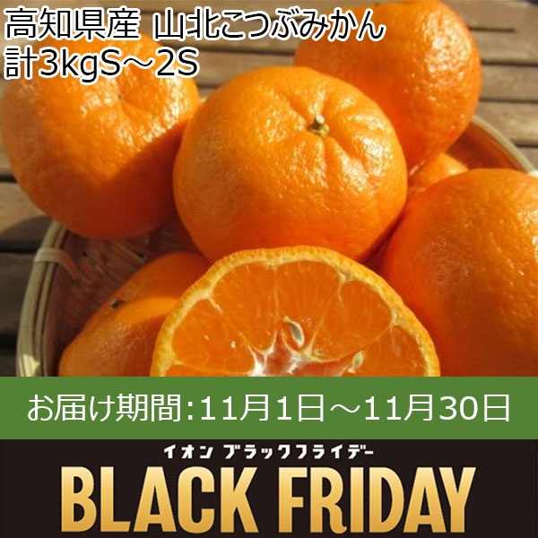 高知県産 山北こつぶみかん 計3kgS〜2S【お届け期間:11月1日〜11月30日】【ブラックフライデー】【ふるさとの味・中四国】　商品画像1