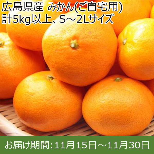 広島県産 みかん(ご自宅用) 計5kg以上、S〜2Lサイズ【お届け期間:11月15日〜11月30日】【ふるさとの味・中四国】　商品画像1